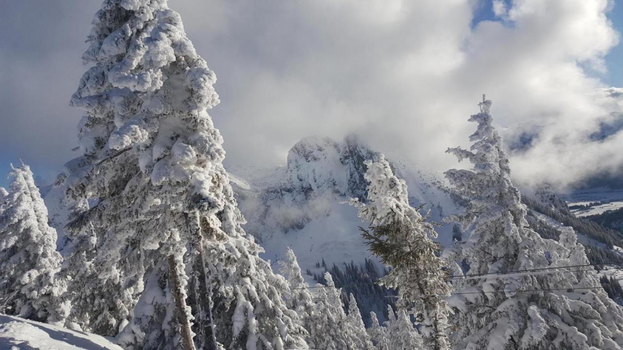 Alpenchalet Vils Tirol Екстер'єр фото